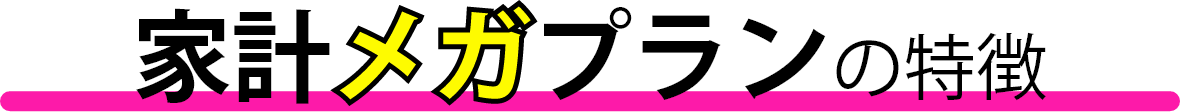家計メガプランの特徴